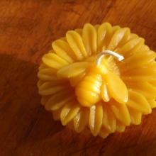 Set of Two Honey Bee Candles